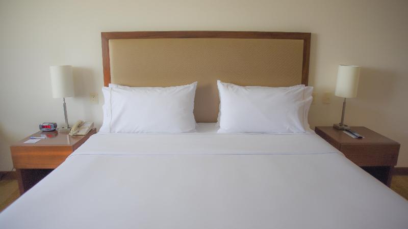 اتاق استاندارد با تخت بزرگ برای معلولان, Holiday Inn Express And Suites Celaya, An Ihg