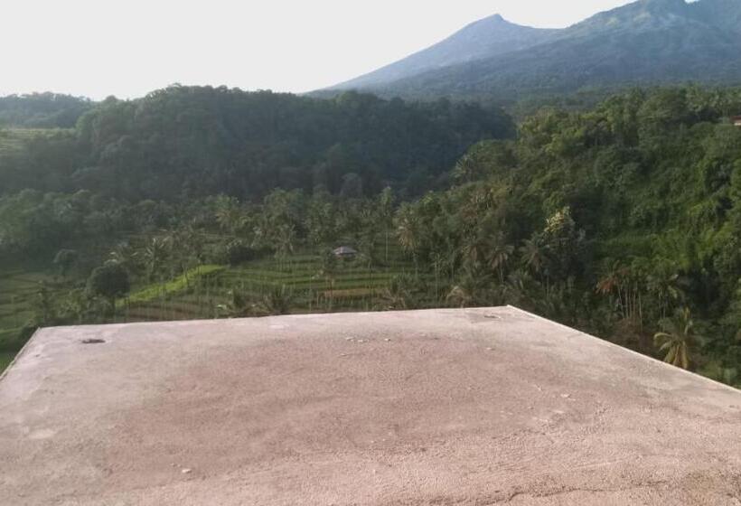Номер Стандарт, Green Rinjani