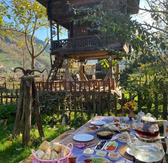اتاق استاندارد چهار تخته, Zeni De Vore Serender & House