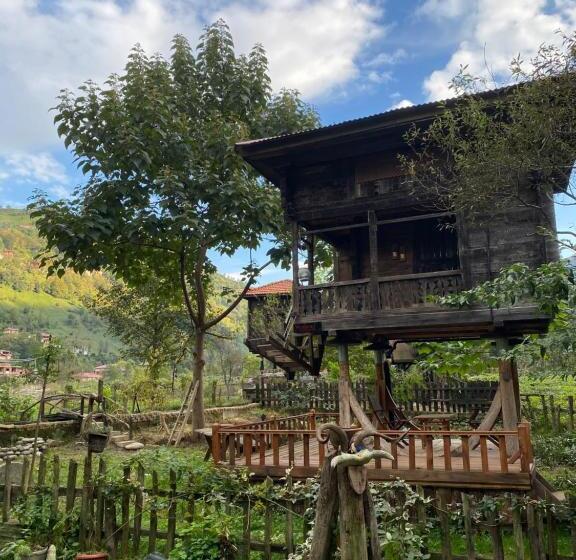 اتاق استاندارد سه نفره, Zeni De Vore Serender & House