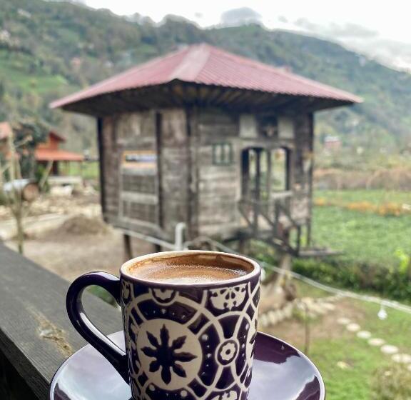 اتاق استاندارد با چشمانداز کوهستان, Zeni De Vore Serender & House