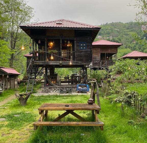 اتاق استاندارد سه نفره, Zeni De Vore Serender & House