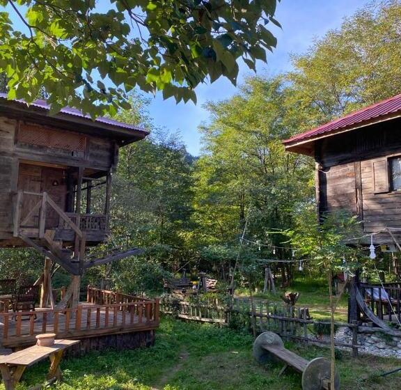 اتاق استاندارد با چشمانداز کوهستان, Zeni De Vore Serender & House