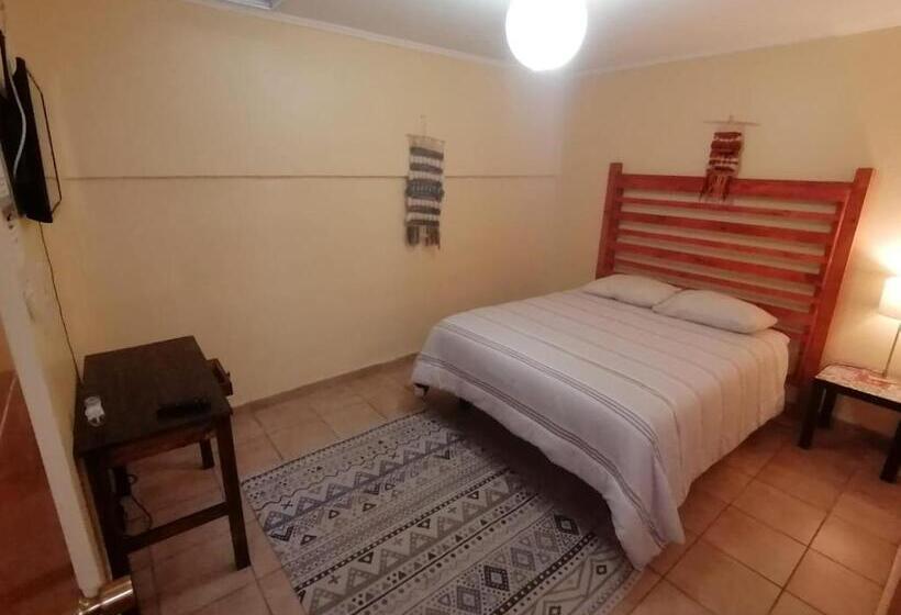 اتاق استاندارد, Hostal Cactus