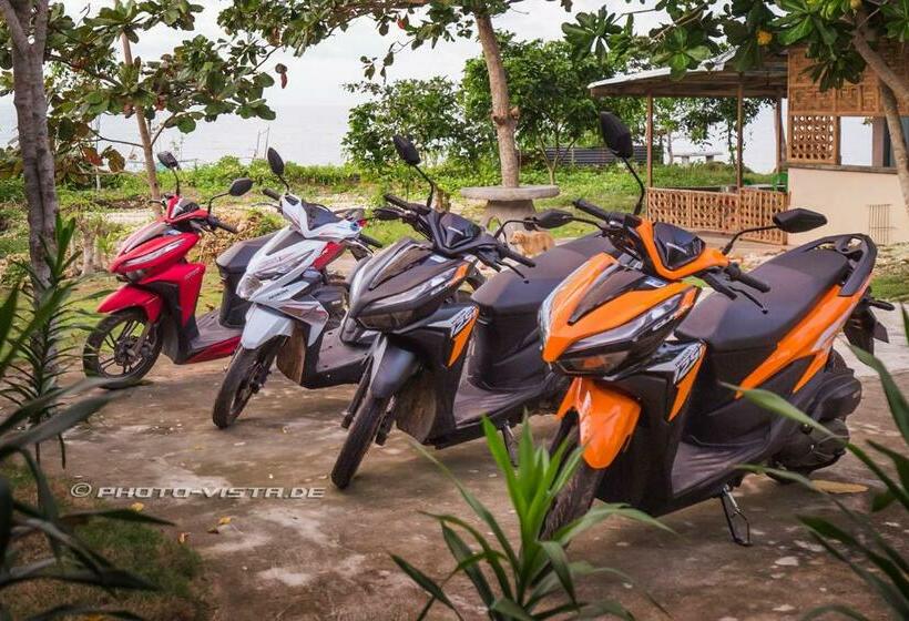 Бунгало Стандарт, Camotes Eden