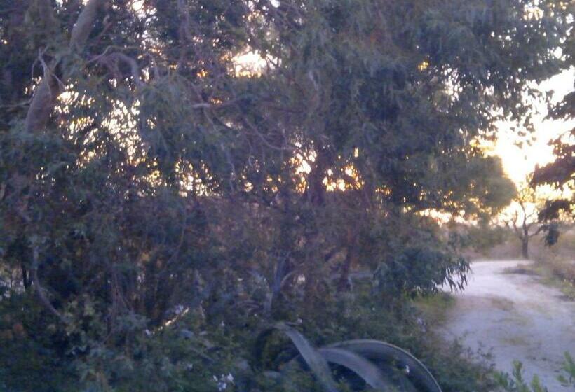 سوییت خانوادگی, Mas Soleil Et Vignes