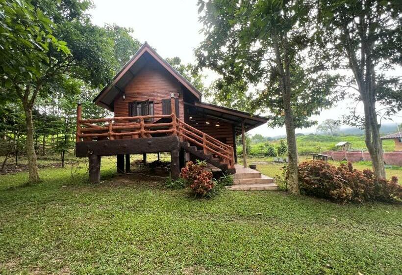 اتاق استاندارد برای معلولان, ไร่นุชชม รีสอร์ทเขาค้อ