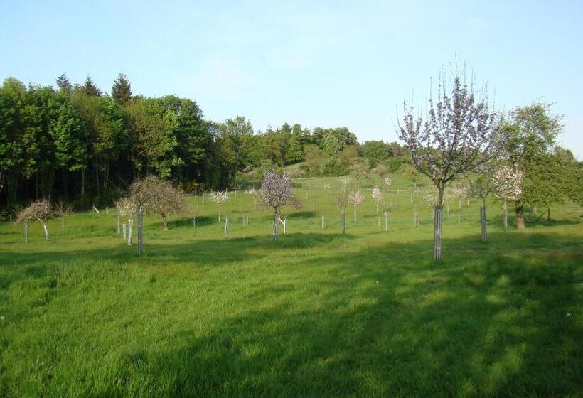 Семейный Номер, Gîte De La Cour