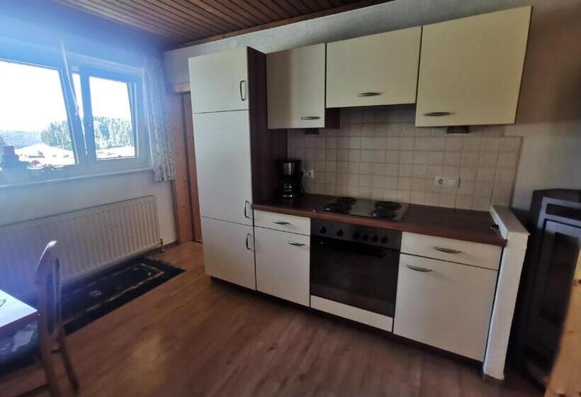 Апартаменты 1 Спальня, Biobauernhof Und Ferienhaus Riederbauer