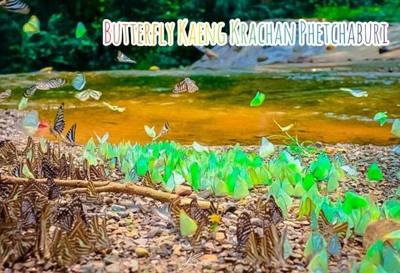 四人标准间, Baan Rai Pray Rung Kaeng Krachan