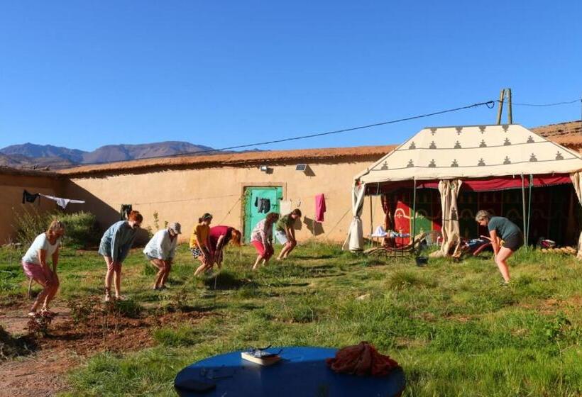 Номер Стандарт Адаптированный для Инвалидов, Zen Ecolodge