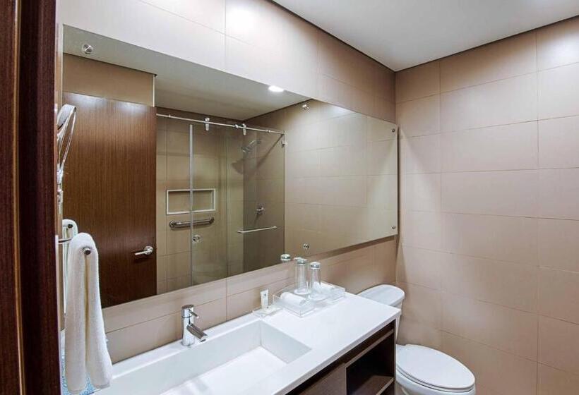 이그제큐티브 룸 킹사이즈 침대, Crowne Plaza Airport, An Ihg