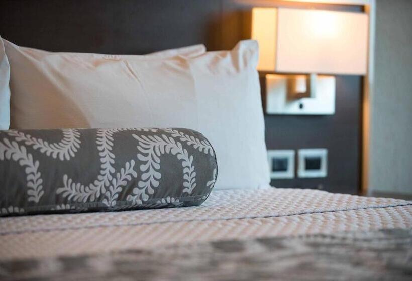스탠다드 룸 킹사이즈 침대, Crowne Plaza Airport, An Ihg