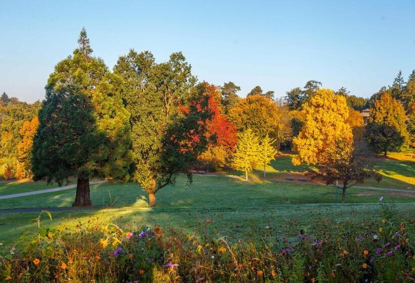 سوئیت با تخت بزرگ, Schwitzer S Hotel Am Park