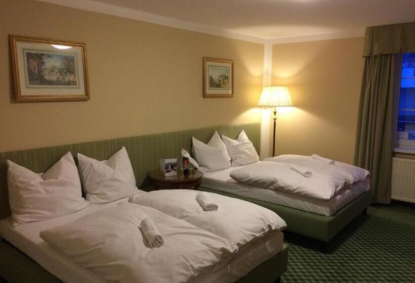 اتاق استاندارد چهار تخته, Pensjonat Belvedere