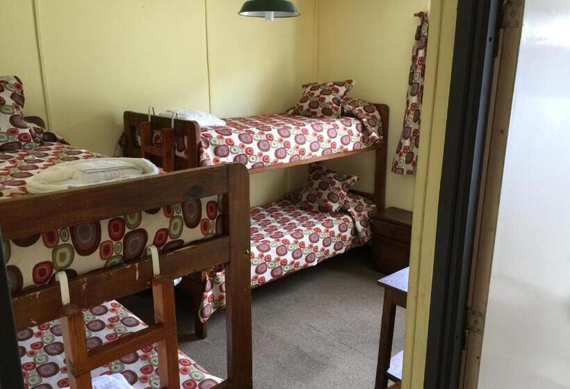 اتاق استاندارد چهار تخته, Hostel Los Pioneros