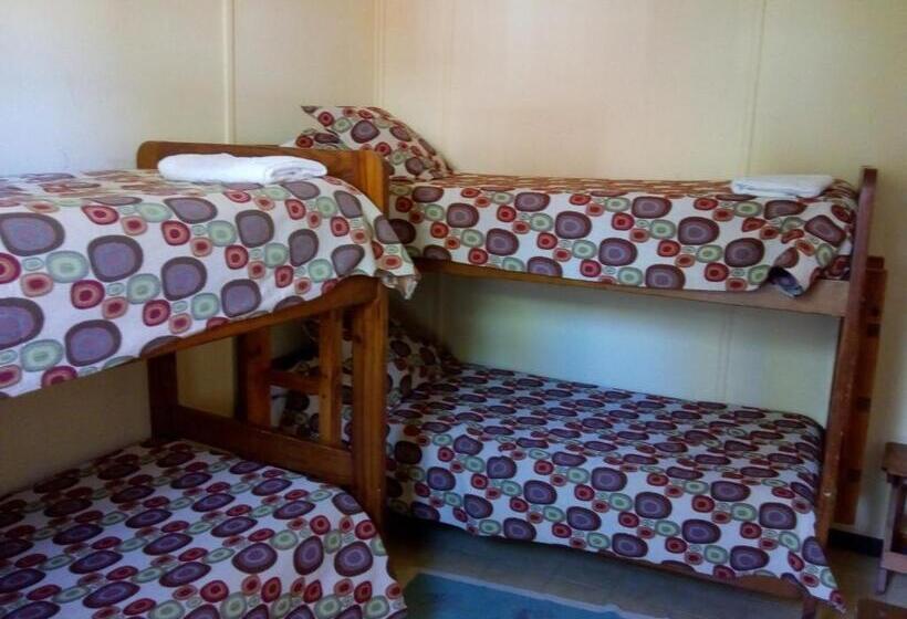اتاق استاندارد چهار تخته, Hostel Los Pioneros