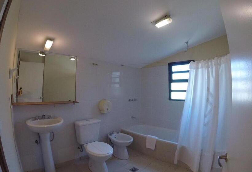 اتاق خانوادگی, Hostel Los Pioneros