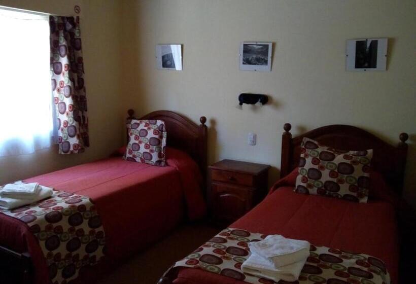 اتاق سوپریور, Hostel Los Pioneros