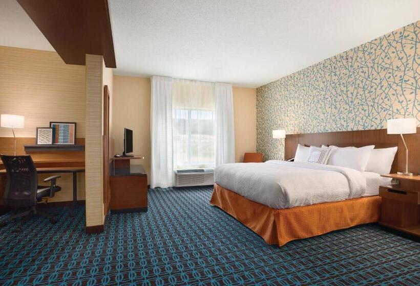 带大床的豪华间, Fairfield Inn & Suites By Marriott Bristol