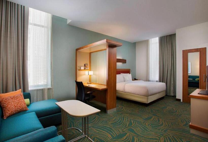 带大床的标准工作室, Springhill Suites By Marriott Houston Downtown/convention Center