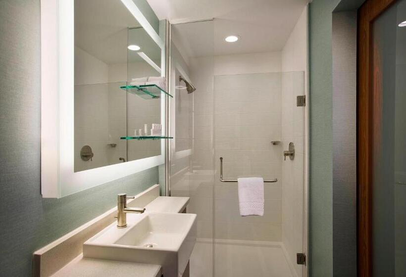 标准工作室, Springhill Suites By Marriott Houston Downtown/convention Center