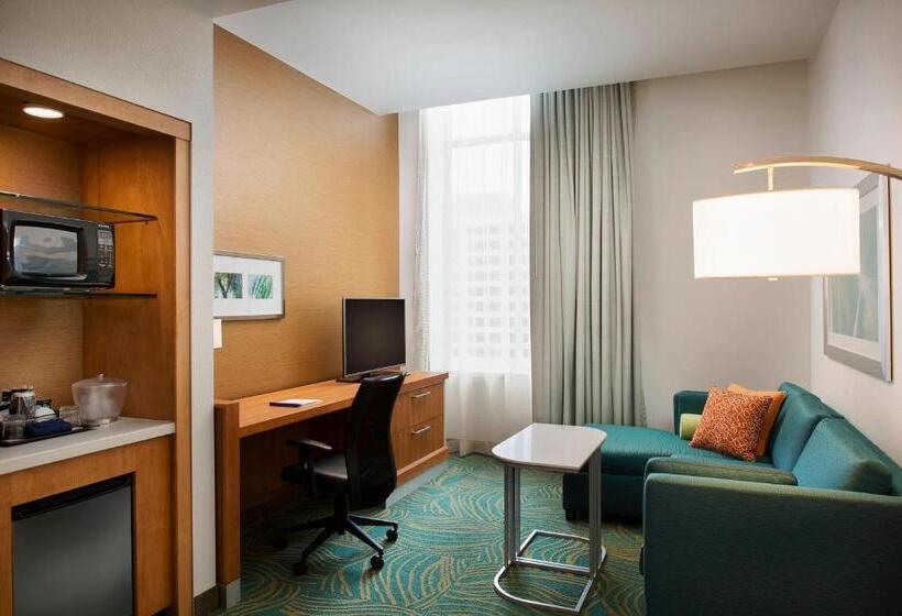 带双人床的标准工作室, Springhill Suites By Marriott Houston Downtown/convention Center