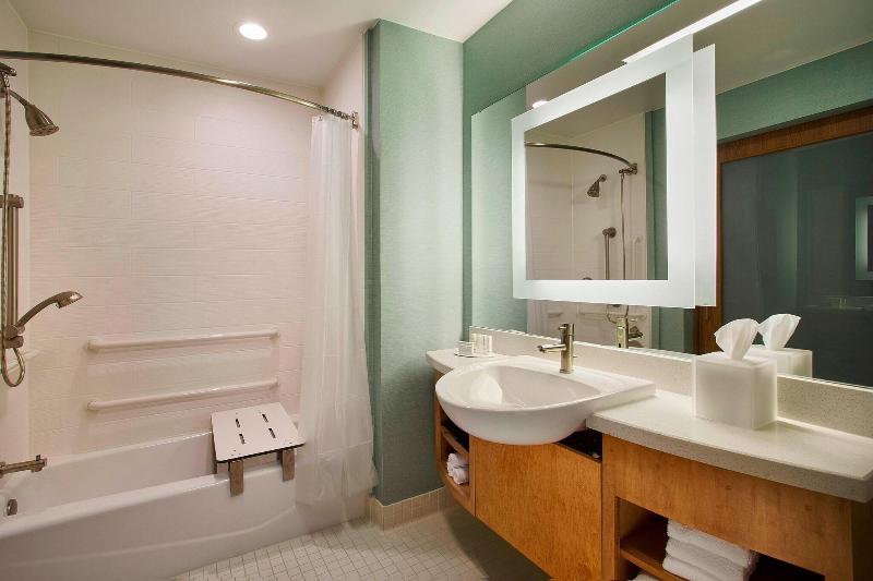 带大床的标准工作室, Springhill Suites By Marriott Houston Downtown/convention Center