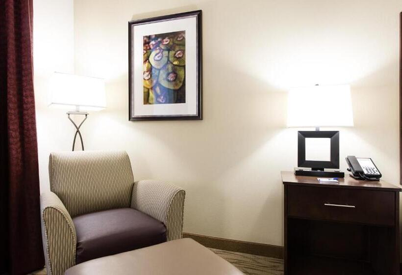 适合残疾人士使用的带超级大床的标准间, Holiday Inn Express & Suites Aiken, An Ihg