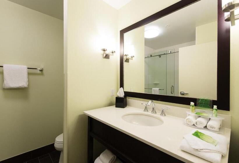 适合残疾人士使用的带超级大床的标准间, Holiday Inn Express & Suites Aiken, An Ihg
