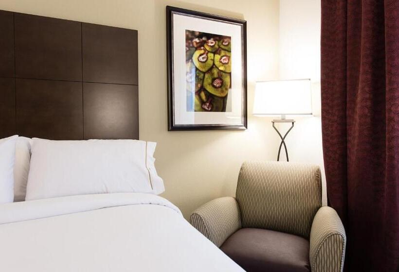 标准间, Holiday Inn Express & Suites Aiken, An Ihg