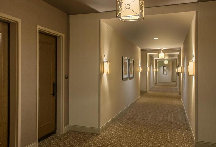 带大床的豪华间, The Sewanee Inn