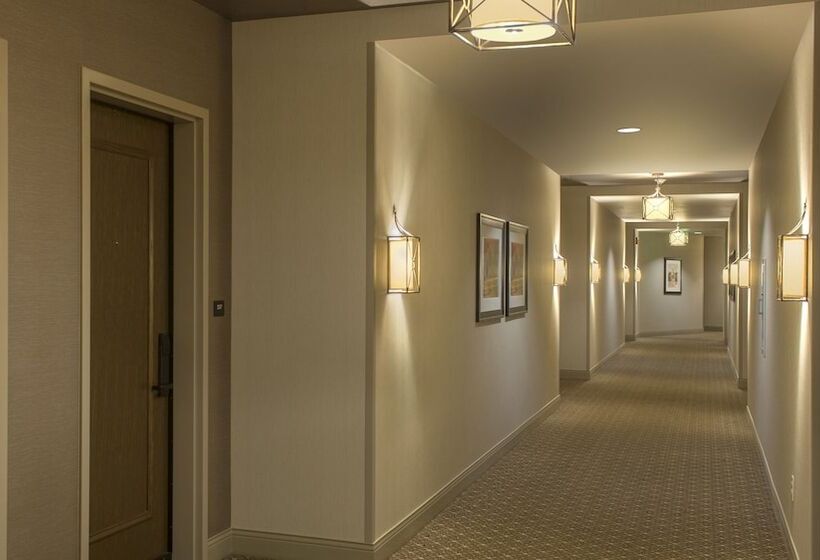 带大床的标准间, The Sewanee Inn