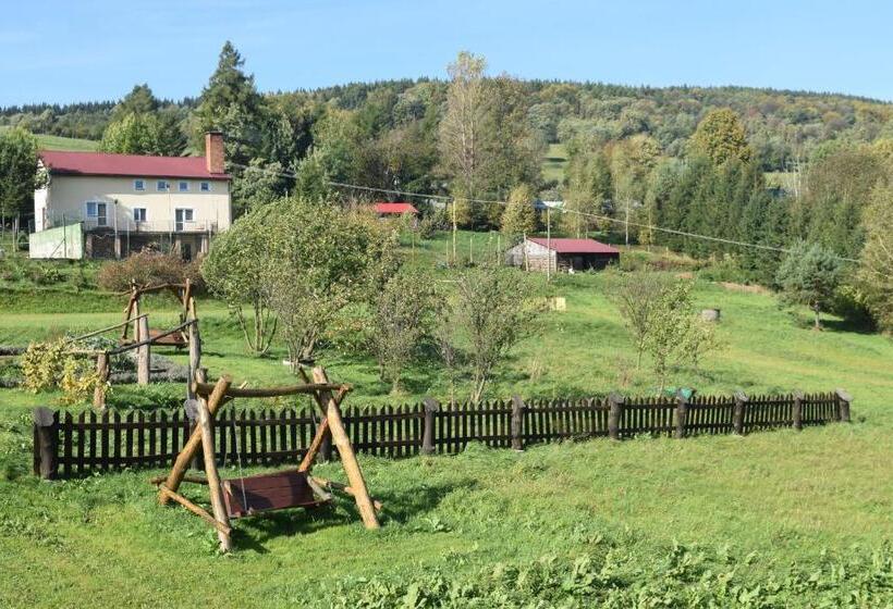 Шале 1 Спальня, Apartamenty Pod Werchowyną