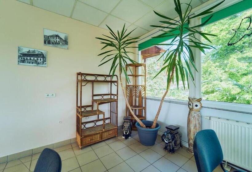 اتاق استاندارد, Marel Apartments U Sowy  Sauna Polanica Zdrój