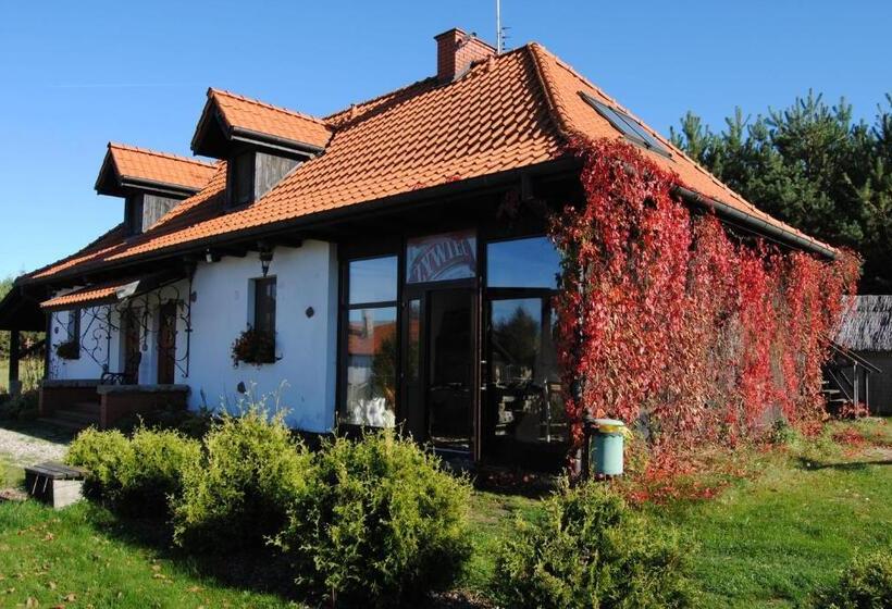 استودیوی استاندارد, Siedlisko Konradówka
