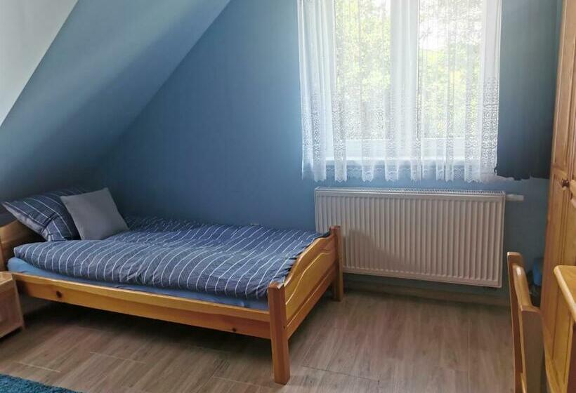 Номер Стандарт, Zakole Sanu