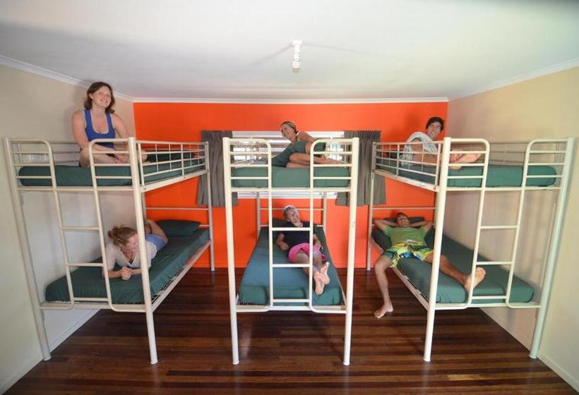 Cama em Quarto Compartilhado, Backpackers In Paradise 18 35 Hostel