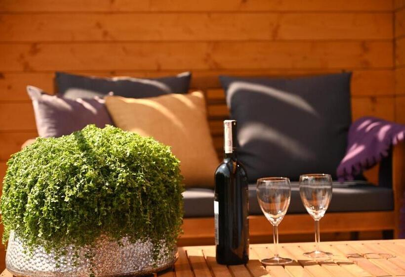 استودیو استاندارد با بالکن, Apartamenty U Harrego Boutique Spa Z Klimatyzacja, Balkon, Sauna, Tężnia Parking