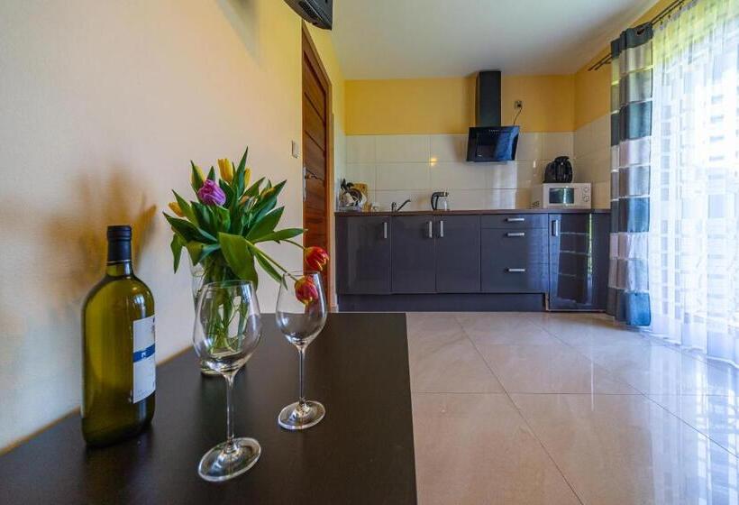 Люкс Повышенной Комфортности, Apartamenty I Pokoje W Willi Na Ubocy