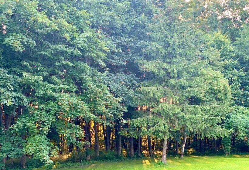 Номер Дюплекс, Gajówka