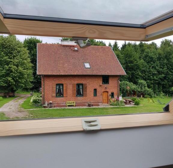 Номер Дюплекс, Gajówka
