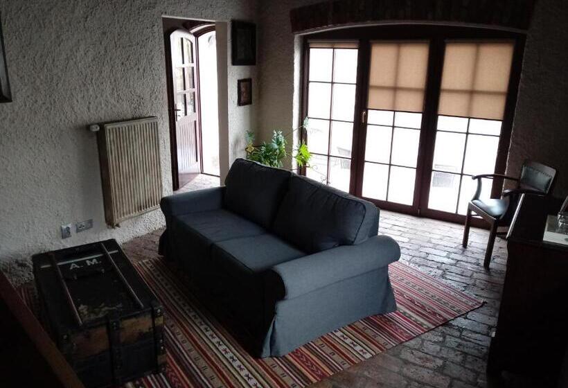 Appartement Duplex 1 Chambre, Apartamenty Za Murem