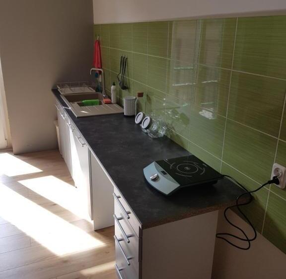 １ベッドルームアパートメント, Kaktus Guest House