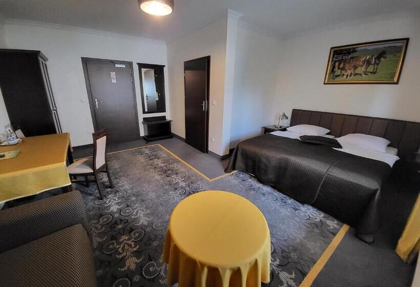 غرفة قياسية, Na Kamieniu Hotel & Spa