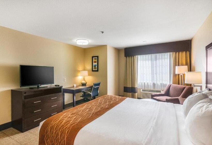 스탠다드 룸 킹사이즈 침대, Comfort Inn & Suites