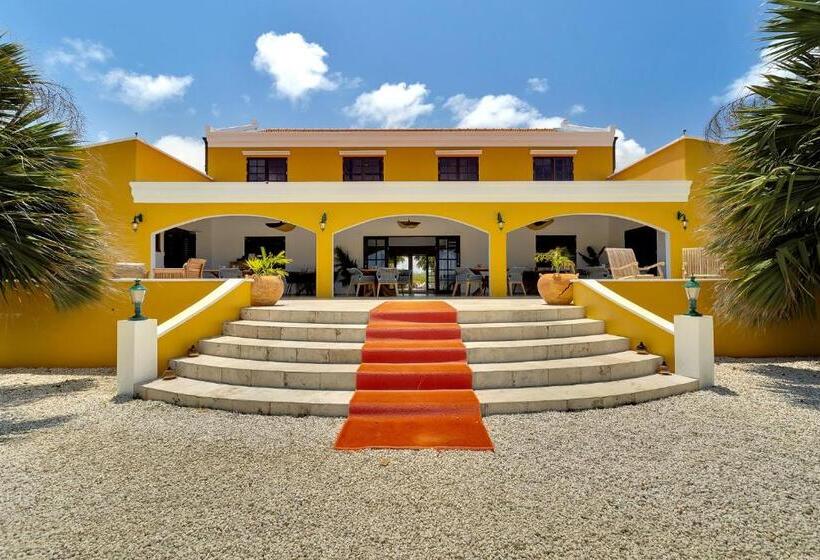 استودیو استاندارد با تراس, Boutique Hotel Wanapa   Adult Friendly   14 Years And Older