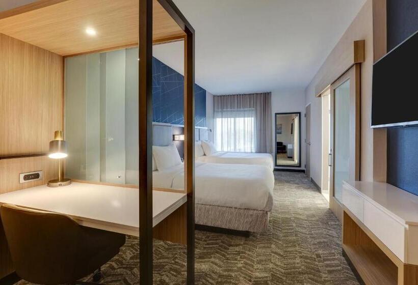 Utcára Néző Standard Szoba, Springhill Suites By Marriott Cheraw