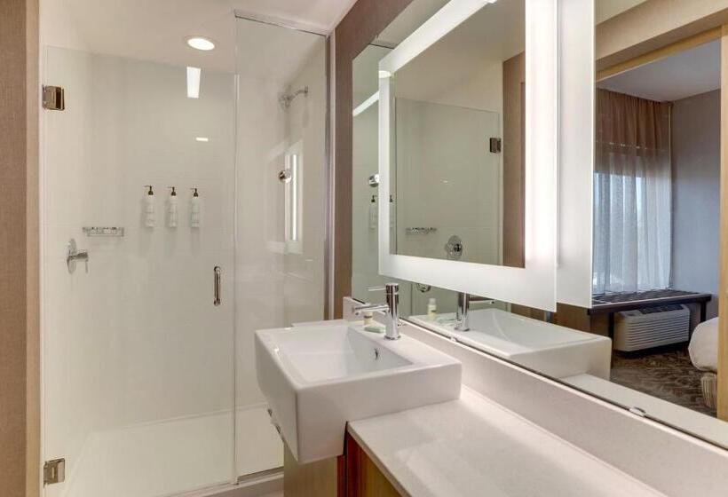 Standard Szoba King Size Bed, Springhill Suites By Marriott Cheraw