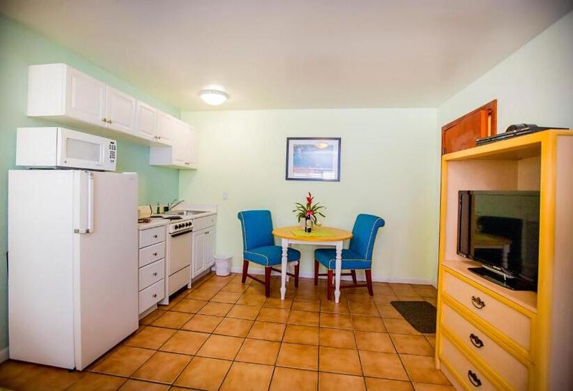 Номер Стандарт, Leucadia Beach Inn